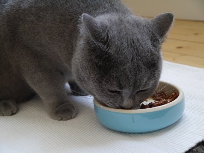 Winston smaskar oxköttsvarianten